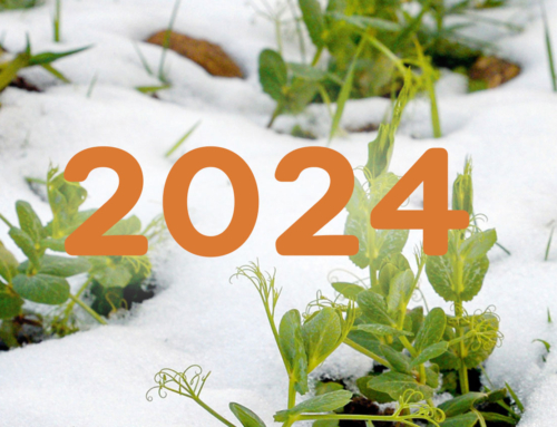 Jahresbericht gzpk Aktuell Winter 2023 | 24 und Agenda 2024