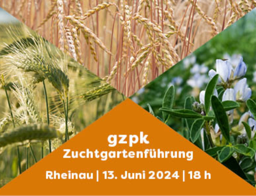 Zuchtgartenführung in Rheinau – 13. Juni 2024