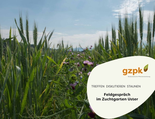 Feldgespräch in Uster – 8. Juni 2026